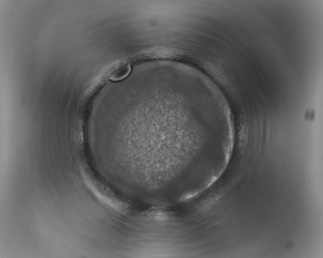 X0000112030254200908241545