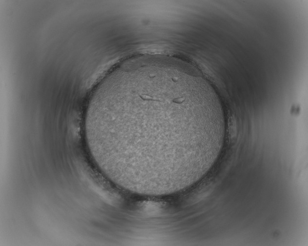 X0000112030255200908241545