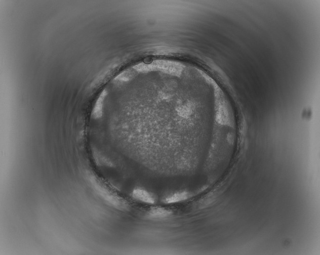 X0000112030257200908241545