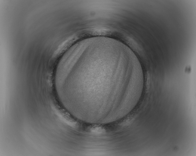 X0000112030258200908241545