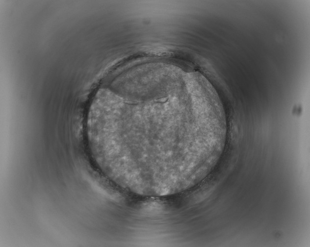 X0000112030259200908241545