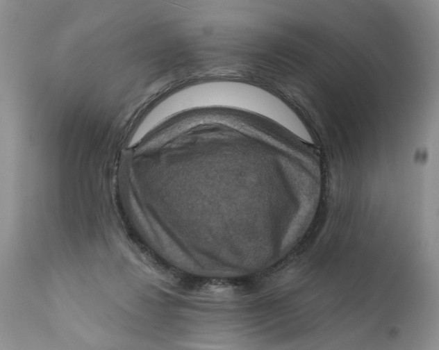 X0000112030260200908241545