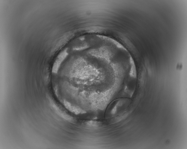 X0000112030261200908241545