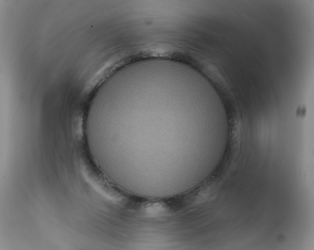 X0000112030262200908241545