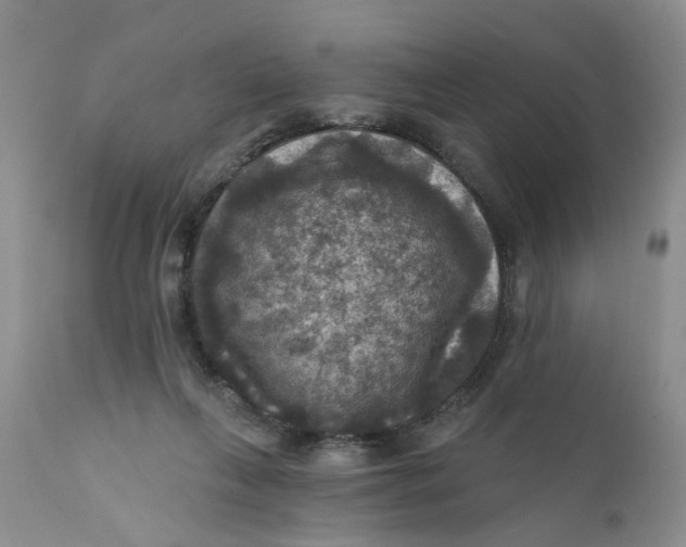 X0000112030263200908241545
