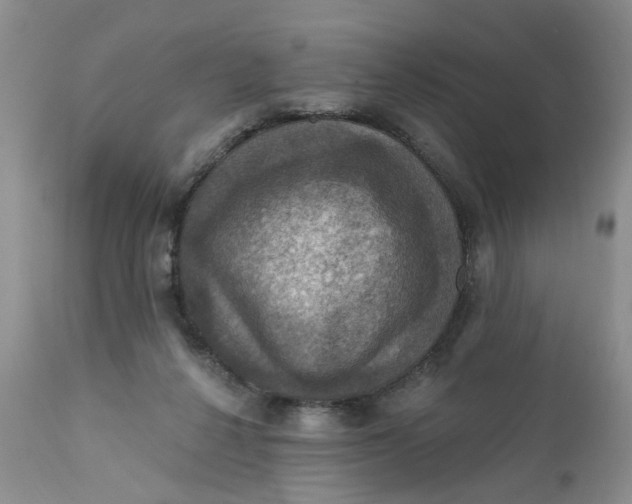 X0000112030264200908241545