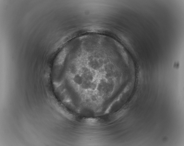 X0000112030265200908241545