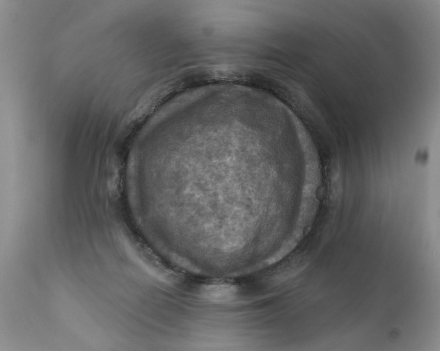 X0000112030266200908241545