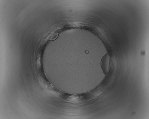 X0000112030267200908241545