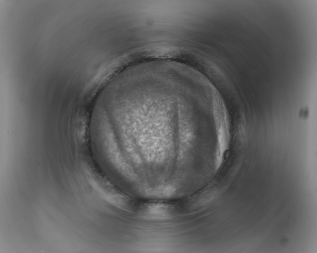 X0000112030268200908241545