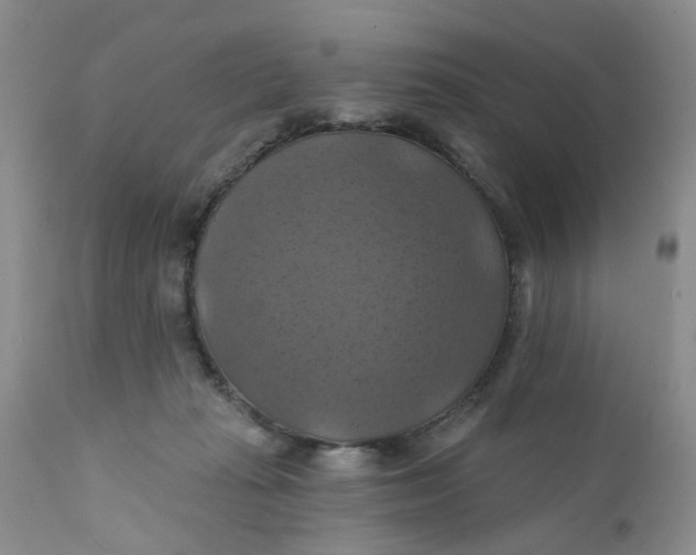 X0000112030269200908241545