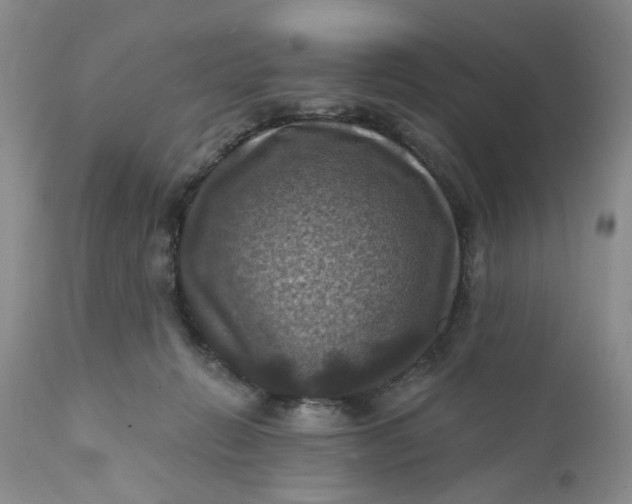 X0000112030270200908241545