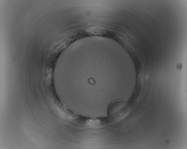 X0000112030271200908241545