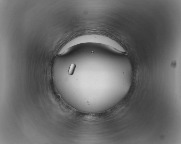 X0000112030272200908241545