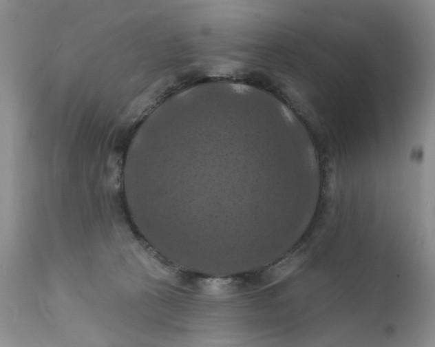 X0000112030273200908241545