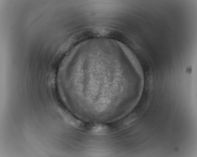 X0000112030274200908241545