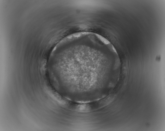 X0000112030275200908241545