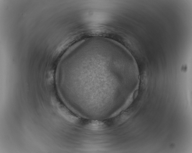 X0000112030278200908241545