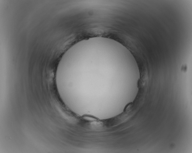 X0000112030279200908241545