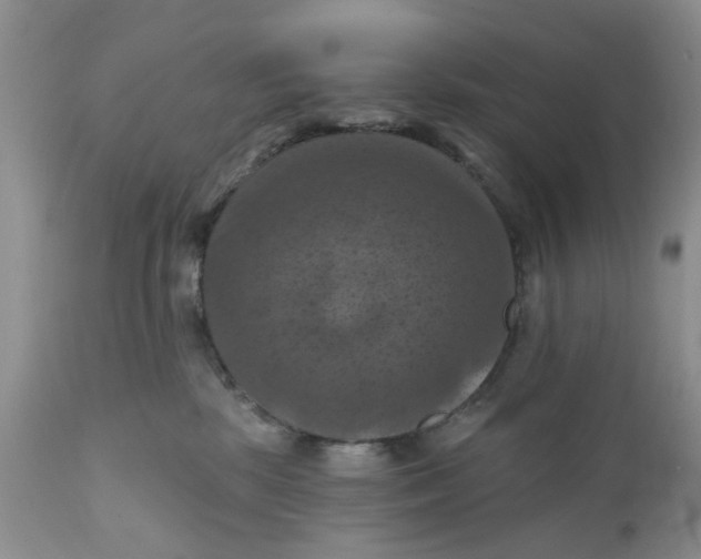 X0000112030281200908241545