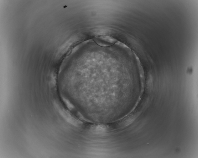 X0000112030282200908241545