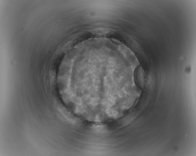 X0000112030283200908241545