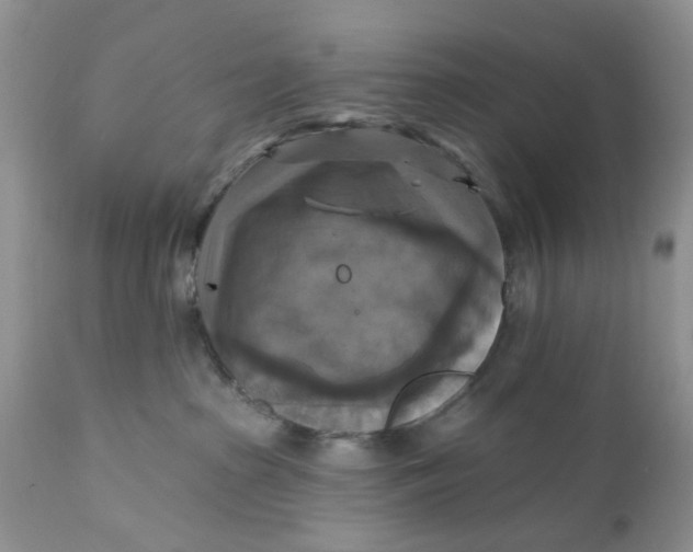 X0000112030285200908241545