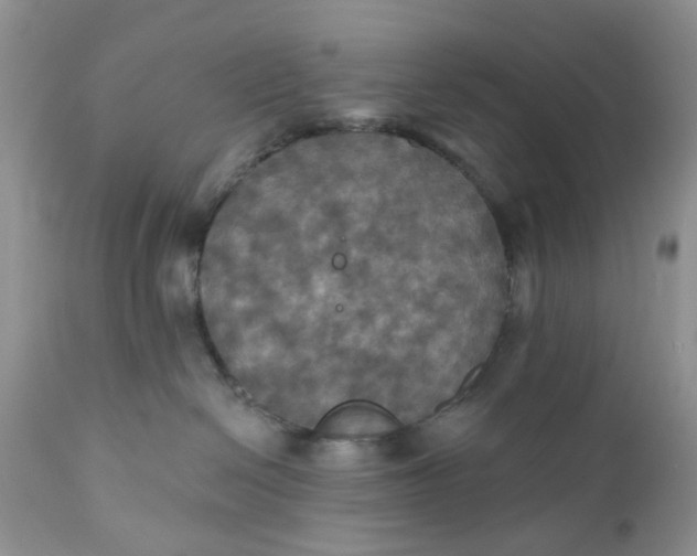 X0000112030286200908241545