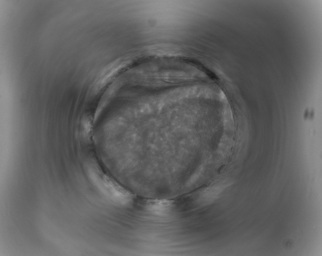 X0000112030288200908241545