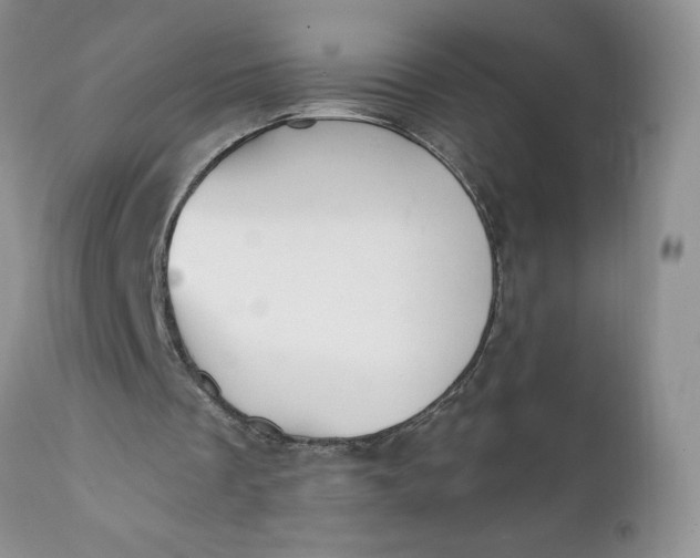 X0000112030289200908241545