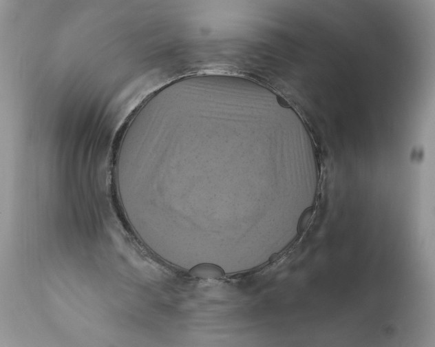 X0000112030290200908241544