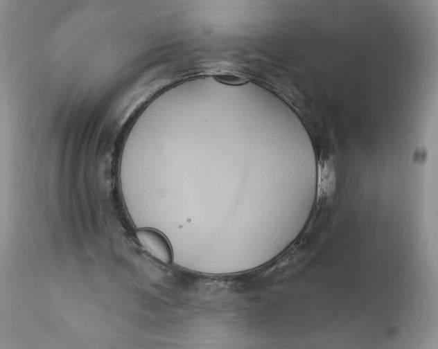 X0000112030291200908241544