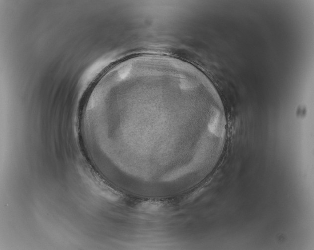 X0000112030294200908241544