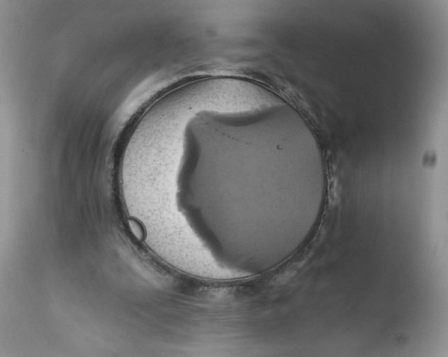X0000112030295200908241544