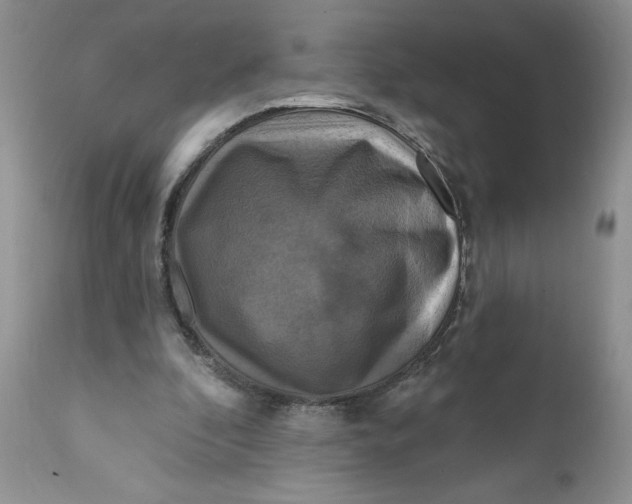 X0000112030296200908241544