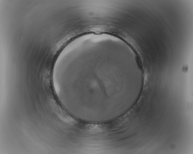 X0000112030297200908241544