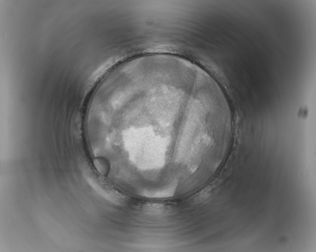 X0000112030298200908241544