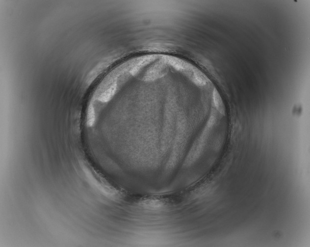 X0000112030299200908241544