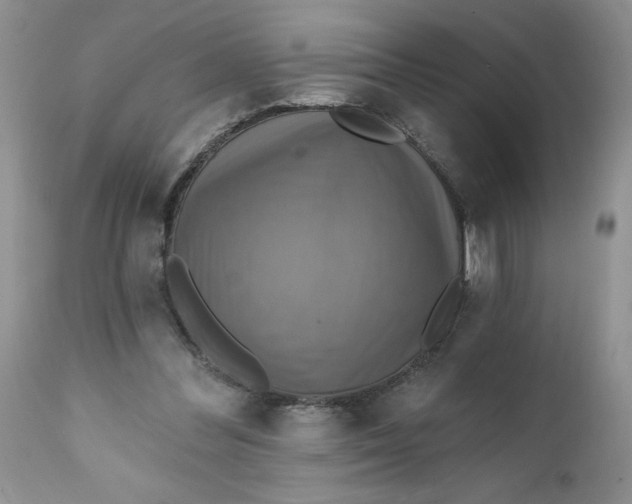 X0000112030300200908241544