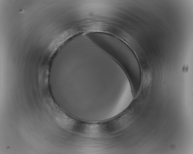 X0000112030301200908241544