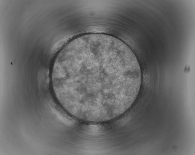 X0000112030302200908241544