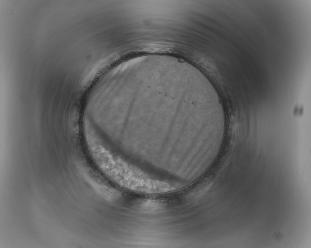 X0000112030303200908241544