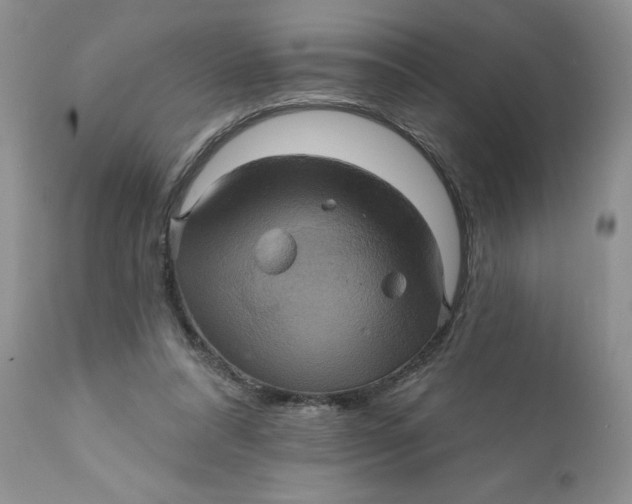 X0000112030304200908241544