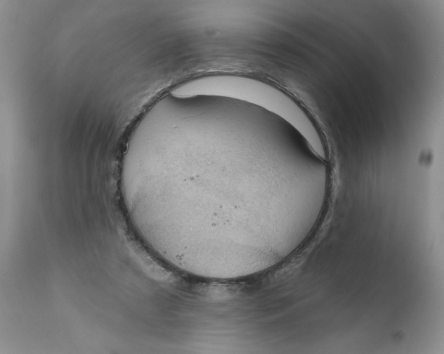 X0000112030305200908241544