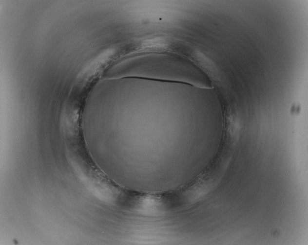 X0000112030308200908241544