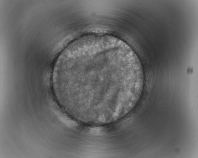 X0000112030309200908241544