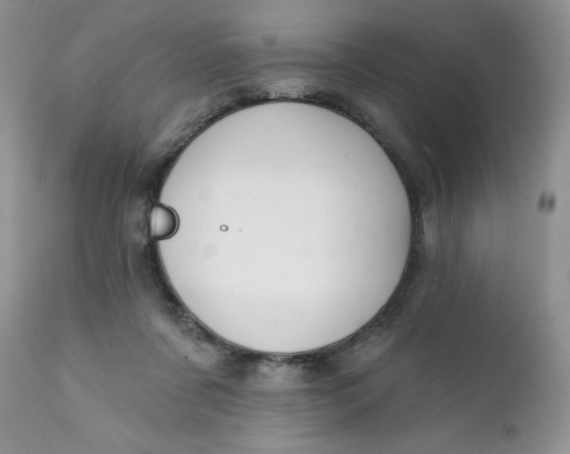 X0000112030311200908241544