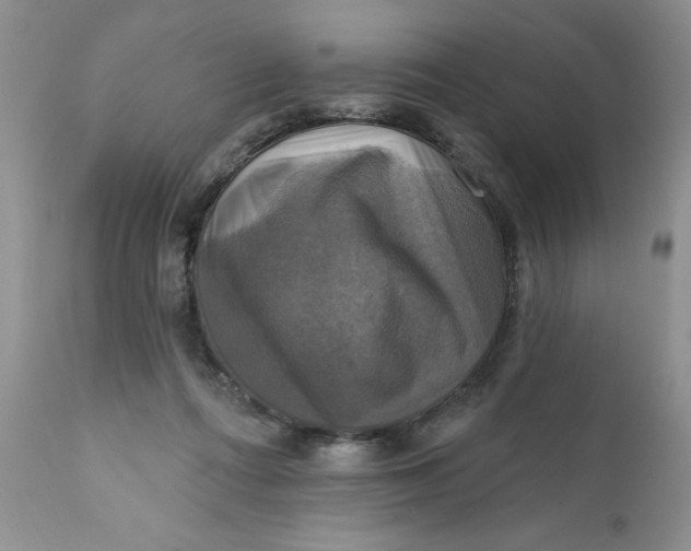 X0000112030312200908241544