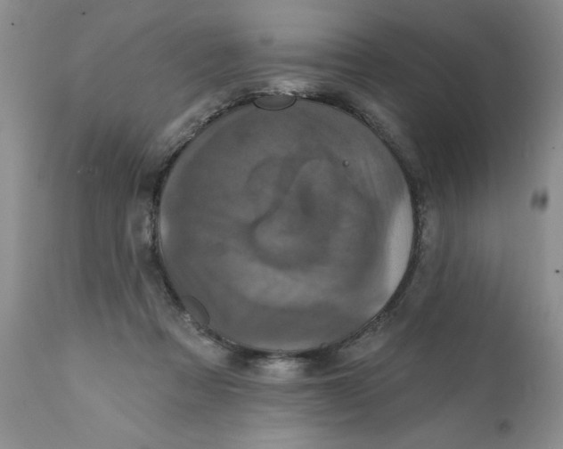 X0000112030313200908241544