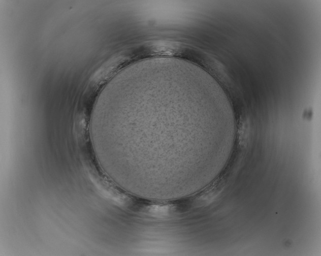 X0000112030314200908241544